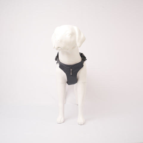 Ruffwear Web Master Harness, Front View