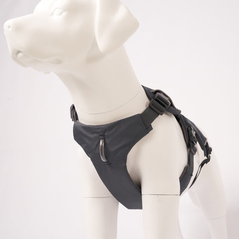 Ruffwear Web Master Harness, Front Side View