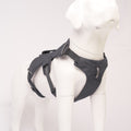 Grey Ruffwear Web Master Harness, on a mannequin against a white background, front side view