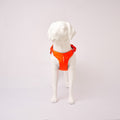 Mannequin wearing an Orange Ruffwear Web Master dog harness on a white background - front view