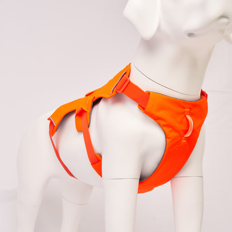 Orange Ruffwear Web Master  harness on a mannequin against a white background