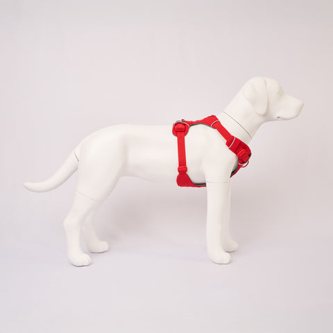 Ruffwear Front Range Harness side view
