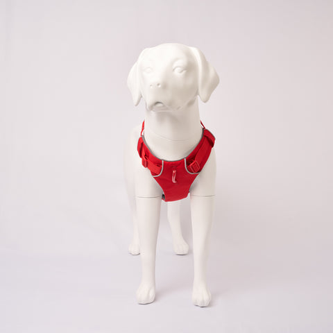 Ruffwear Front Range Harness Front View