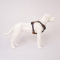White dog model wearing aRuffwear Front Range Harness, Moonlight Mountains harness on a light gray background