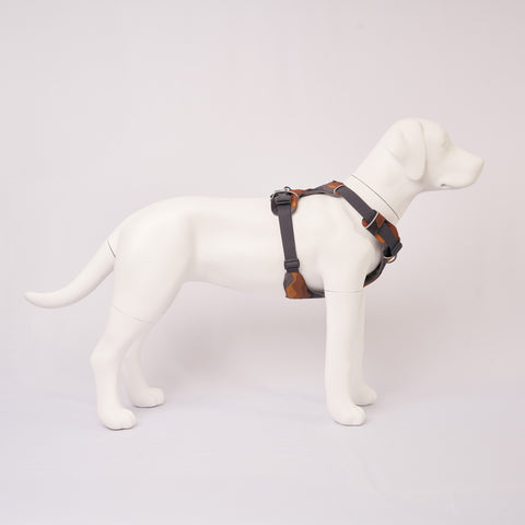 White dog model wearing aRuffwear Front Range Harness, Moonlight Mountains harness on a light gray background