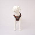 White dog model wearing aRuffwear Front Range Harness, Moonlight Mountains harness on a light gray background