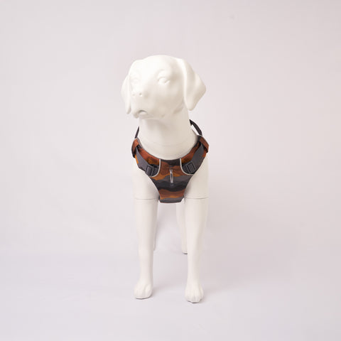 White dog model wearing aRuffwear Front Range Harness, Moonlight Mountains harness on a light gray background