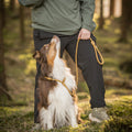 Woolly Wolf Retriever Leash Wood Brown lifestyle photo with dog on walk