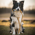 Woolly Wolf Retriever Leash Wood Brown detail showing rubber stoppers for adjustable fit