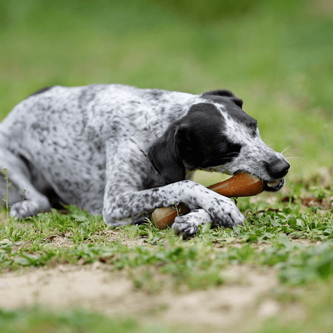 Retorn Rub Bone dog chew toy — size comparison infographic — Sparkly Tails
