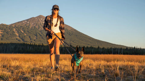 Woman walking a dog in a field with mountains in the background