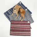 Two dogs on patterned pet beds with a third bed in front.