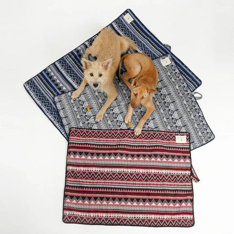 Two dogs on patterned pet beds with a third bed in front.