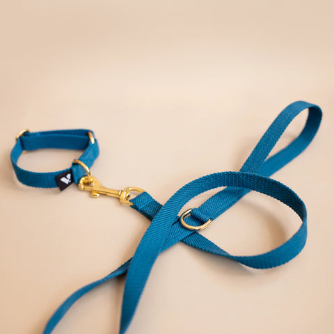 Blue dog leash with gold hardware on a beige background