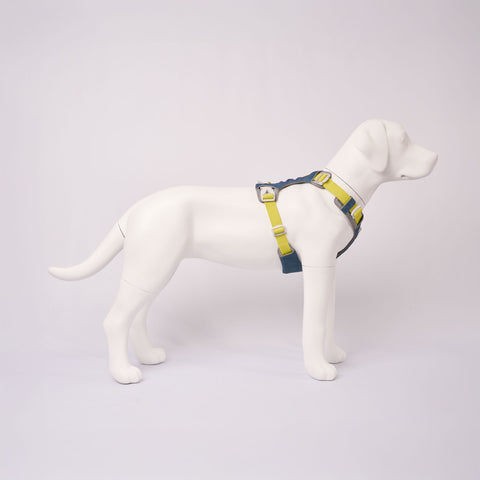 Hardwearing Alpha 360 Harness Deep Teal