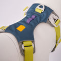 Close-up of a teal blue and neon harness on a white background