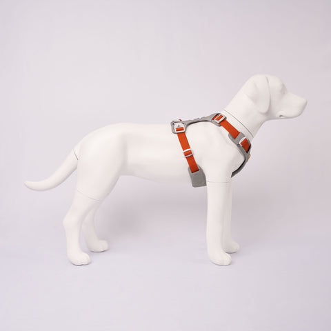 Hardwearing Alpha 360 Harness