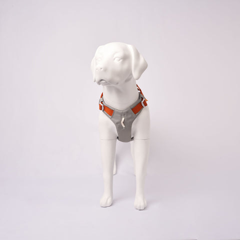 Hardwearing Alpha 360 Harness on a mannequin against a white background