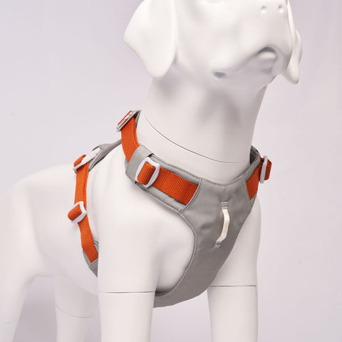 Hardwearing Alpha 360 Harness, Made From Recycled Bottles - Sparkly Tails