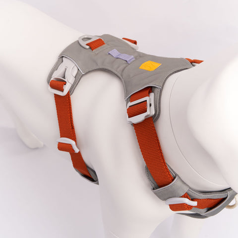 Hardwearing Alpha 360 Harness, Made From Recycled Bottles - Sparkly Tails