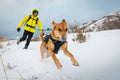 Person in yellow jacket running with a dog on a snowy trail