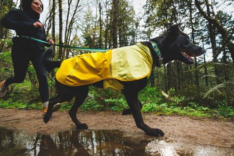 Ruffwear, Sun Shower Jacket, Mineral Yellow 