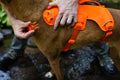 A person clipping an Orange Ruffwear Web Master Harness