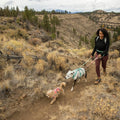 Lady trekking with her dogs wearing a flagline harness