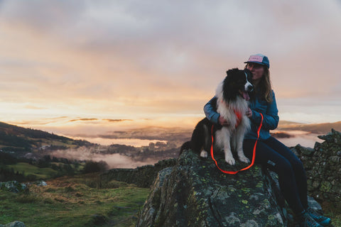 Person with a dog sitting on a rock during a scenic sunset.