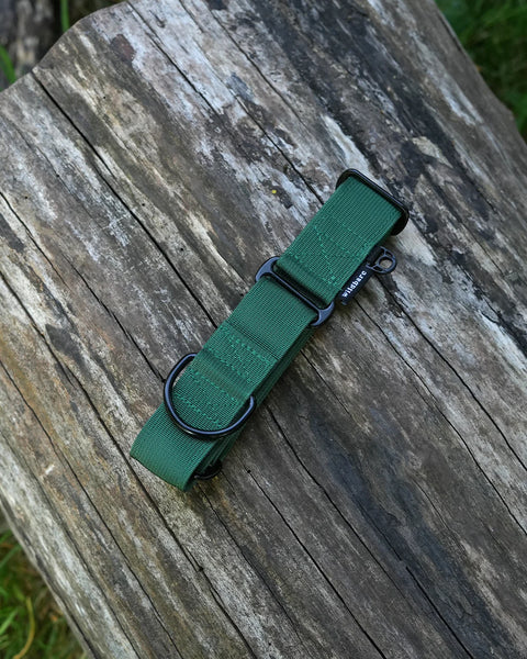 Wildbarc Forest Green Martingale Dog Collar