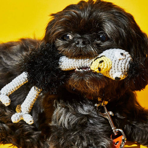 Hand Crochet Ostrich Squeaker Dog Toy