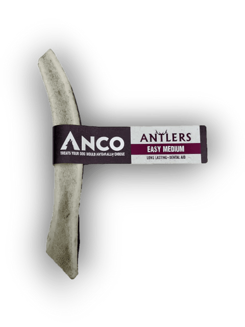 Antlers Easy, Medium - Sparkly Tails