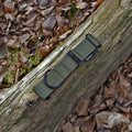 Green martingale collar with a buckle on a wooden log surrounded by fallen leaves.