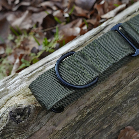 Green Martingale Collar with a D-ring on a wooden surface with leaves in the background
