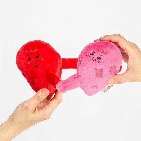 Two plush toys shaped like a red and pink bra on a white background