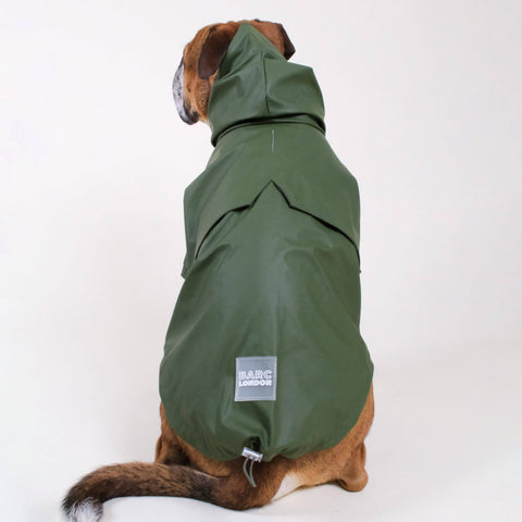 Dog wearing a green raincoat with a visible brand label on a white background