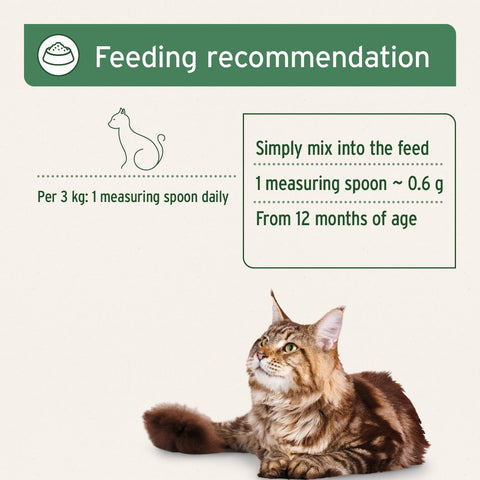 AniForte Feline Complete Cat Supplement — powder texture close-up — Sparkly Tails