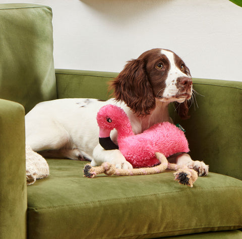 Fernando, Flamingo Rope Dog Toy With Squeaker