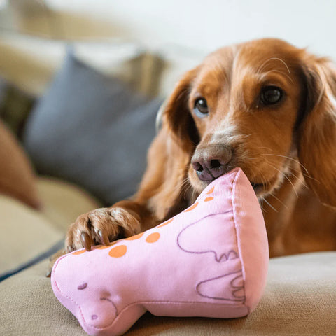 Dog playing with a pink dino-shaped toy on a couch