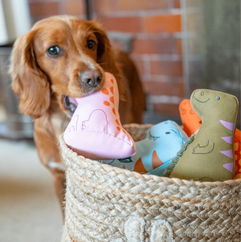 Dog playing with a pink dinosaur toy next to a basket of colorful dinosaur toys.