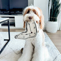 Dog holding a clock-shaped toy in a living room setting