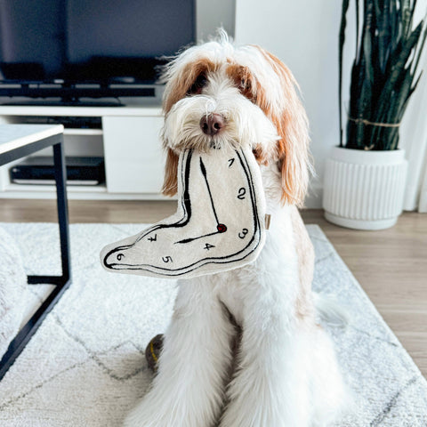 Dog holding a clock-shaped toy in a living room setting