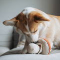 big dog playing with Shroom, Enrichment Dog Toy, Squeaky + Snuffle Toy