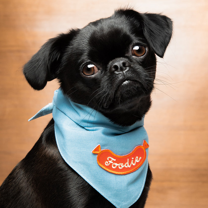 Foodie Ironon Patch For Dogs Sparkly Tails