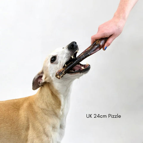 British Pizzles "Bully Sticks", 24cm - Sparkly Tails