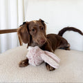 Dog with a fluffy pink toy on a light-colored surface