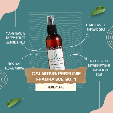 Wild Wash calming perfume fragrance bottle with text on a teal background