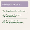 AniForte Calm & Relax Powder for Dogs 100g — calming herbal blend lifestyle shot — Sparkly Tails