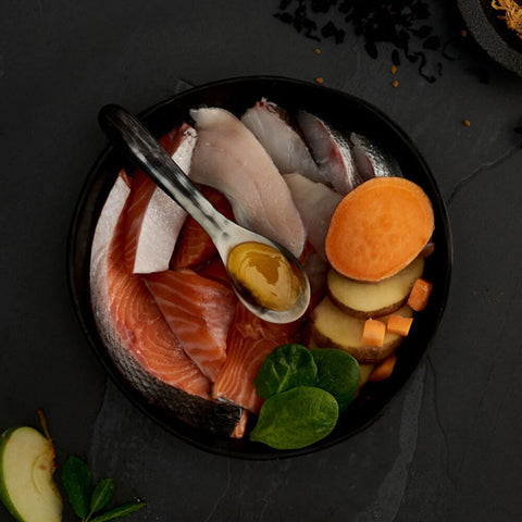 canagan cat fresh bowl square salmon
