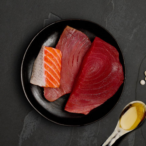 Canagan Tuna with Salmon Wet Cat Food 75g — lifestyle shot — Sparkly Tails
